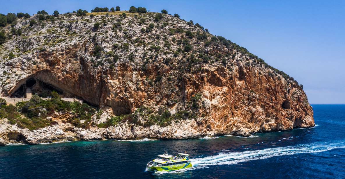 From Cala Bona: East Coast Glass-Bottom Boat Trip - What you’ll see above and below: glass-bottom realism
