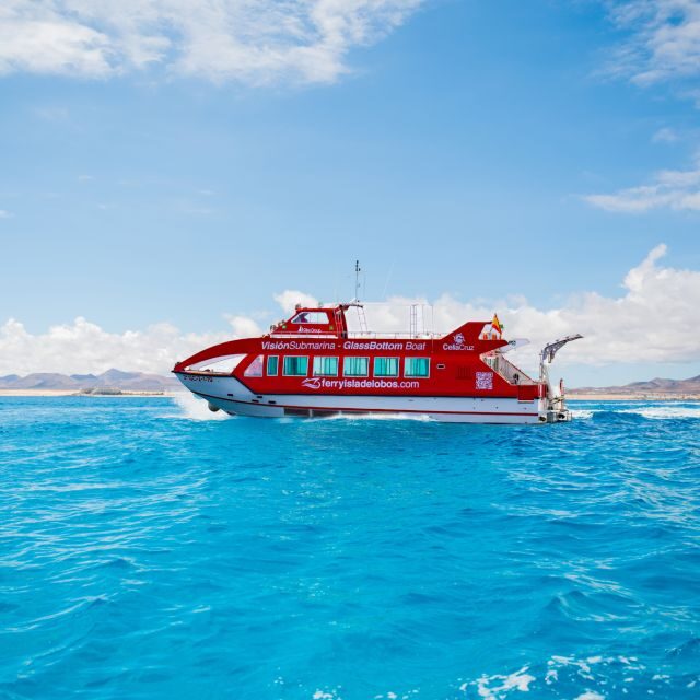 From Caleta de Fuste: Return Bus and Ferry to Lobos Island - Key highlights you’ll feel on the day