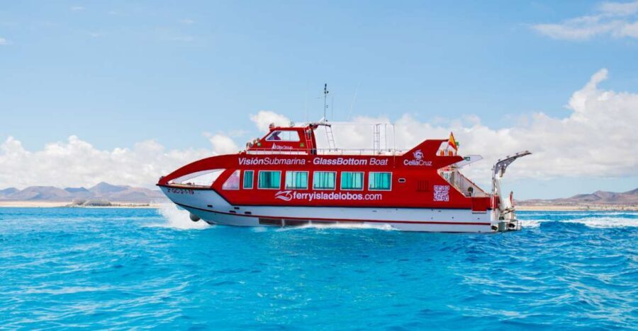 From Caleta de Fuste: Return Bus and Ferry to Lobos Island - Caleta de Fuste to Lobos: simple transport that saves your day