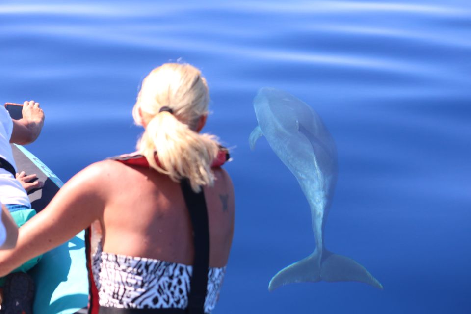 From Calheta: Whale and Dolphin Watching RIB Boat Tour - Why the Spotter and Crew System Really Matters
