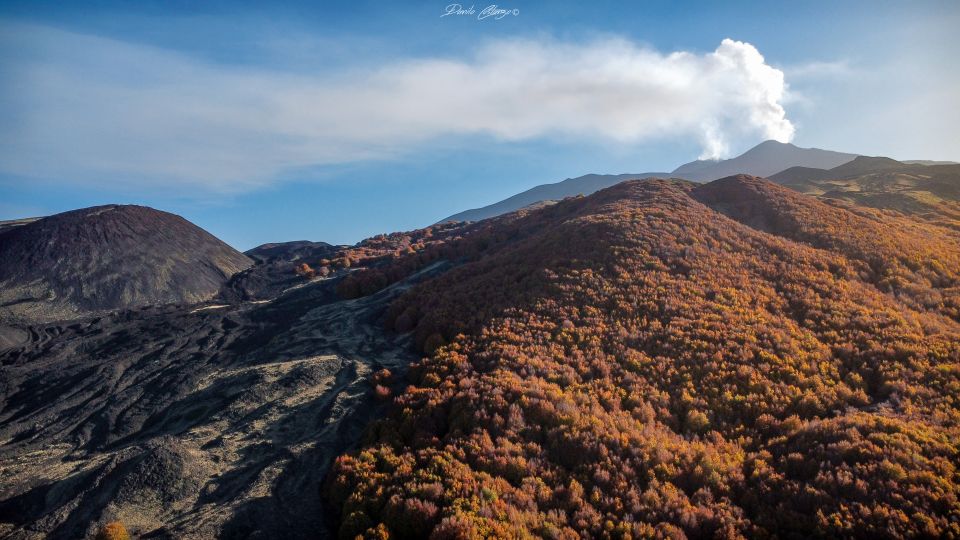 From Catania: Mt. Etna, Wine and Alcantara Tour - Key highlights you’ll feel immediately