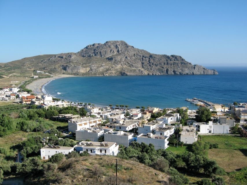 From Chania: Preveli Palm Beach Day Tour - Preveli Palm Forest: The Nature Walk You Actually Need Time For