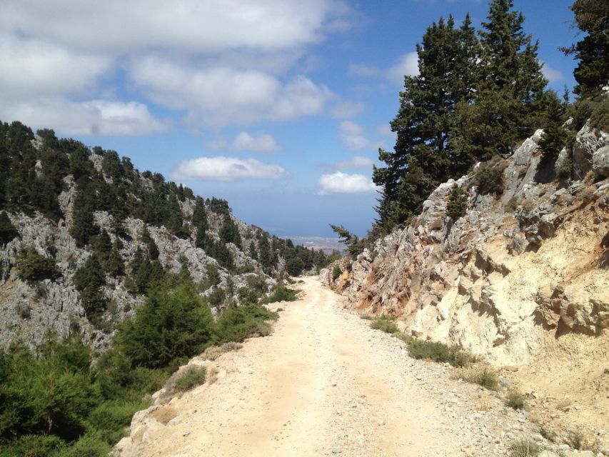 From Chania: White Mountains Land Rover Safari - Meeting a Shepherd’s Mitato: Graviera Cheese and Real Mountain Life