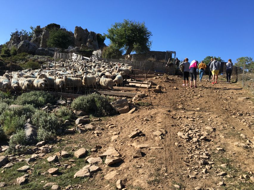 From Chania: White Mountains Land Rover Safari - Price and Value: What $100 Really Covers on This Kind of Day