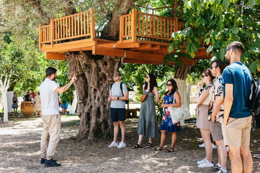 From Chania: Wine and Olive Oil Tasting Tour with Snacks - Why this Chania wine-and-olive-oil tour makes sense