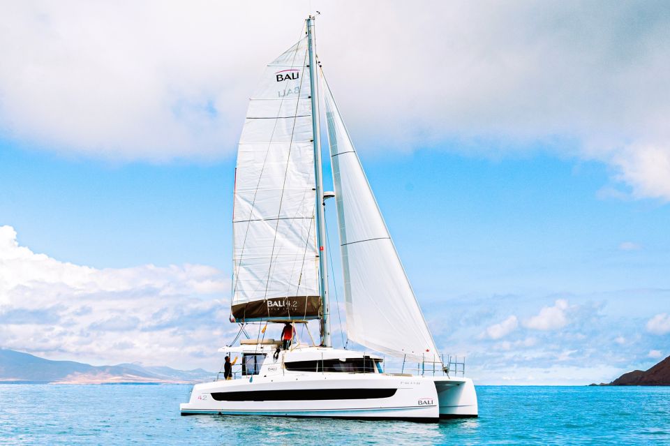 From Corralejo/Caleta de Fuste: Lobos Island Catamaran Trip - Key things I’d center in your decision