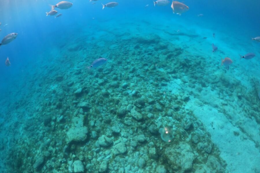 From Corralejo: Lobos Island Boat and Snorkel Activity - The Majorero boat cruise: El Puertito views and your drink