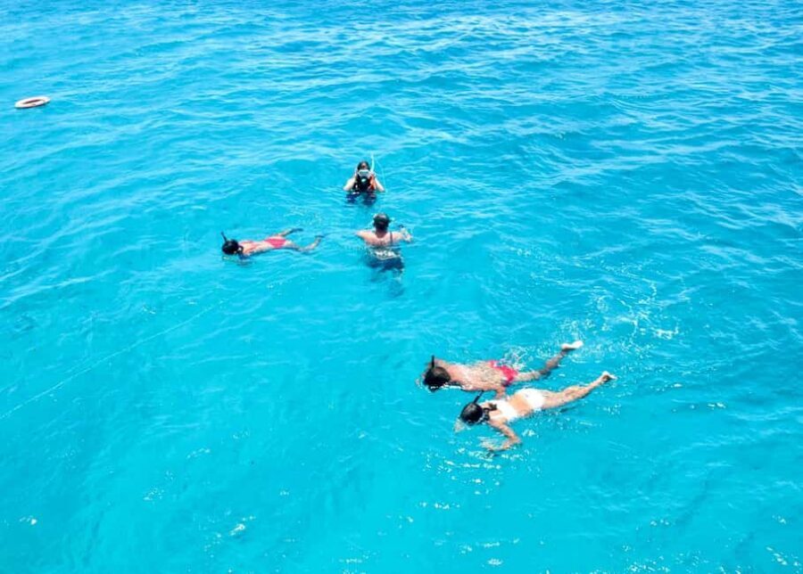 From Corralejo: Lobos Island Boat and Snorkel Activity - 25 minutes snorkeling: how to make it count