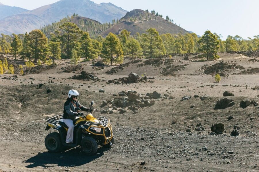 From Costa Adeje: Mount Teide Forest Off-Road Quad Bike Tour - Four Things That Make This Quad Tour Worth It