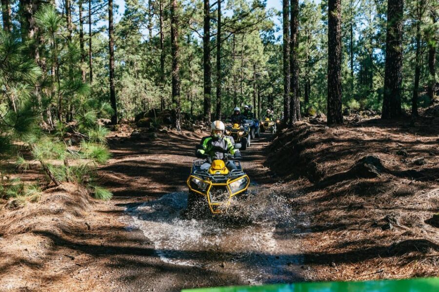 From Costa Adeje: Mount Teide Forest Off-Road Quad Bike Tour - Getting Out of Costa Adeje: The Route Starts Easy