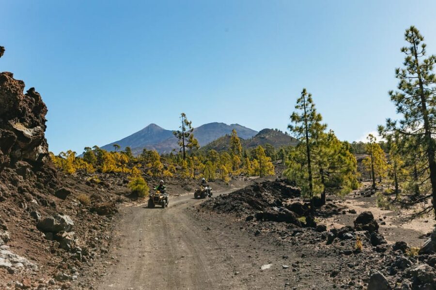 From Costa Adeje: Mount Teide Forest Off-Road Quad Bike Tour - Three Hours Inside Teide: Forest Tracks, Peaks, and a Lava Detour