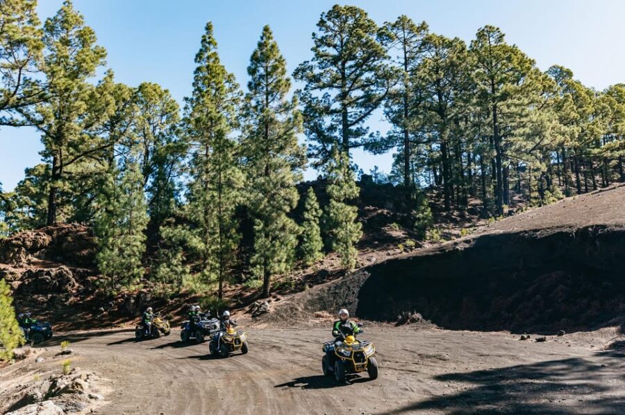 From Costa Adeje: Mount Teide Forest Off-Road Quad Bike Tour - Who This Quad Tour Fits Best (And Who Should Skip It)