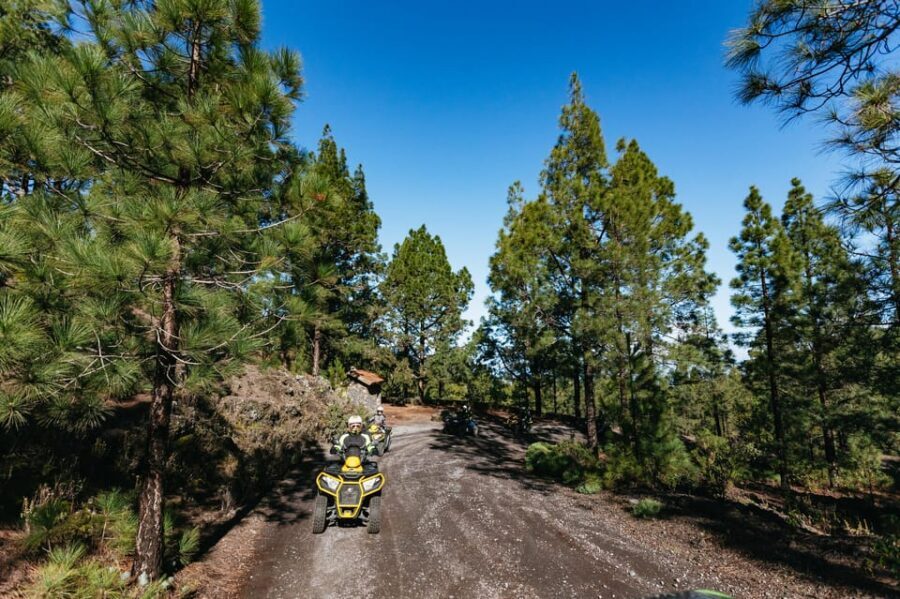 From Costa Adeje: Mount Teide Forest Off-Road Quad Bike Tour - Tour Feel: Guides, Language, and Group Size