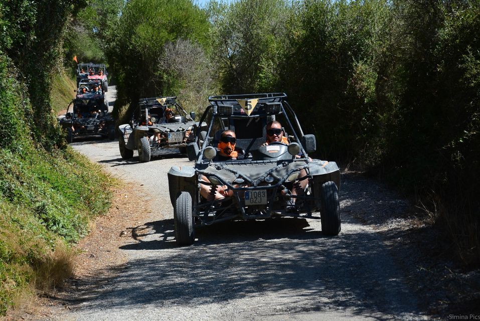 From East Mallorca: Guided Beach and Mountain Buggy Tour - Felanitx to Mirador de San Salvador: Scenic Roads and 30 Minutes to Breathe