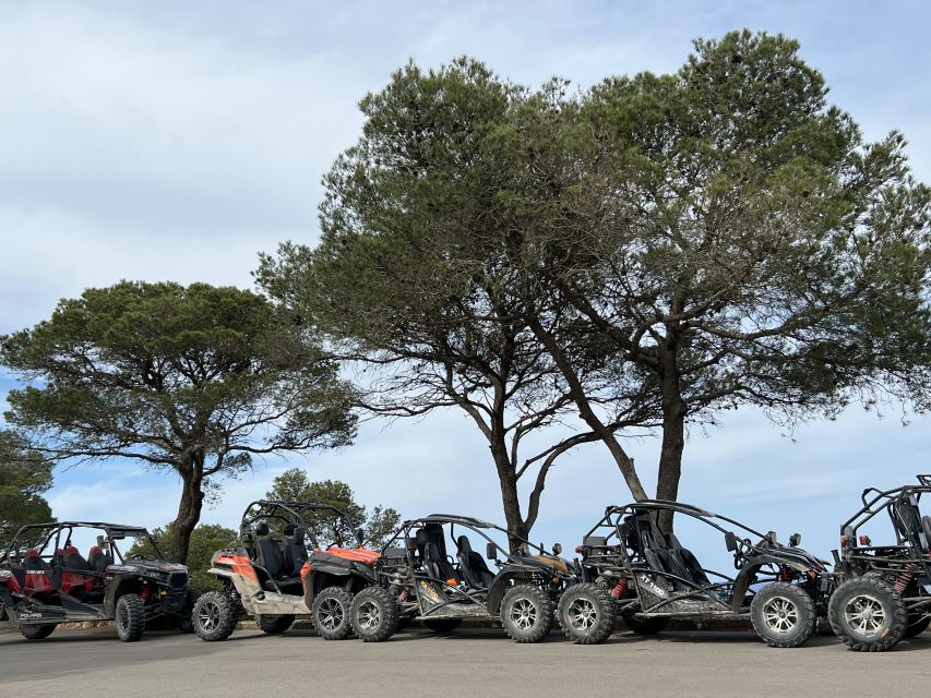 From East Mallorca: Guided Beach and Mountain Buggy Tour - Cala Murada Swim Stop: A Planned 30-Minute Coast Reset