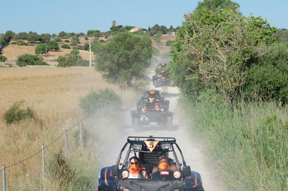 From East Mallorca: Guided Beach and Mountain Buggy Tour - Cala Mandia Pickup and the Blue Van Setup