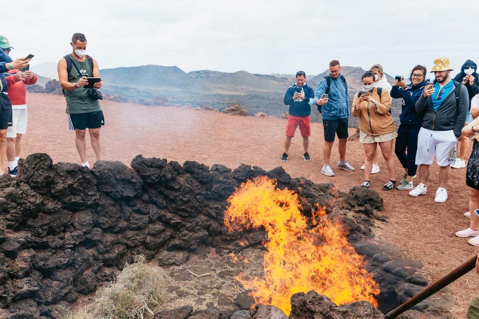 From Fuerteventura: Lanzarote Trip with Wine Tasting & Lunch - Jameos del Agua lava tunnel and the albino crab Jameito