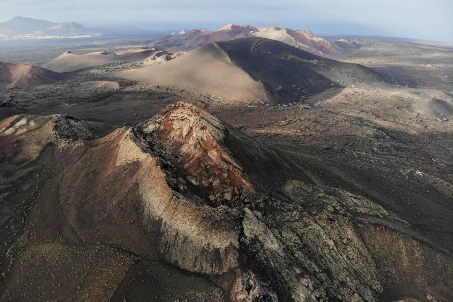 From Fuerteventura: Lanzarote Volcano and Wine Region Tour - Aloe vera museum: learning basics, then reality check on shopping