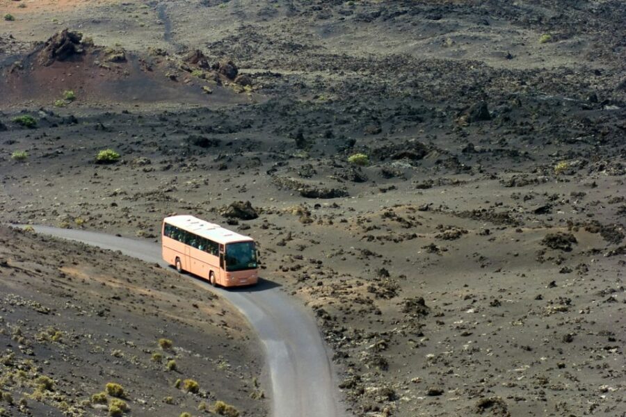 From Fuerteventura: Lanzarote Volcano and Wine Region Tour - Who should book this day trip from Fuerteventura