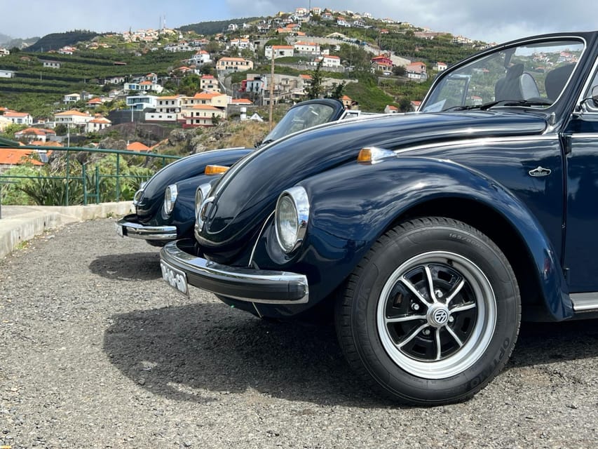 From Funchal: Cabo Girão & Poncha Tasting by Classic VW - Cabo Girão glass skywalk: the sea-cliff moment that anchors the tour