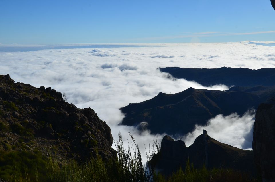 From Funchal: East Tour Madeira 4x4 Jipe Tour Santana Houses - Key highlights worth planning around