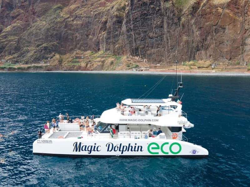 From Funchal: Ecological Catamaran Dolphin Whale Watching - From Funchal Marina to a few miles offshore: how the search works