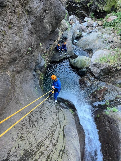 From Funchal: Intermediate Canyoning Adventure (Level 2) - Key highlights at a glance