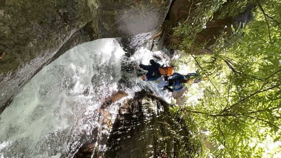 From Funchal: Intermediate Canyoning Adventure (Level 2) - Price and Value: Is $94 Worth It for 4 Hours?