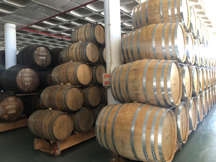 From Funchal: Jeep Tour with Madeira Wine Tasting - Price and Value: Getting $80 Worth of Madeira