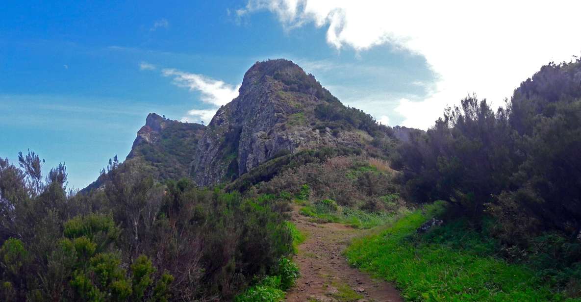 From Funchal: Machico to Porto da Cruz Larano Cliff Hike - Key highlights worth planning for