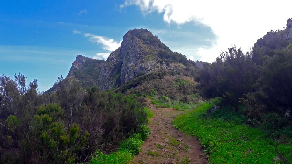 From Funchal: Machico to Porto da Cruz Larano Cliff Hike - Entering the Larano Cliff: Why this hike feels so Madeira