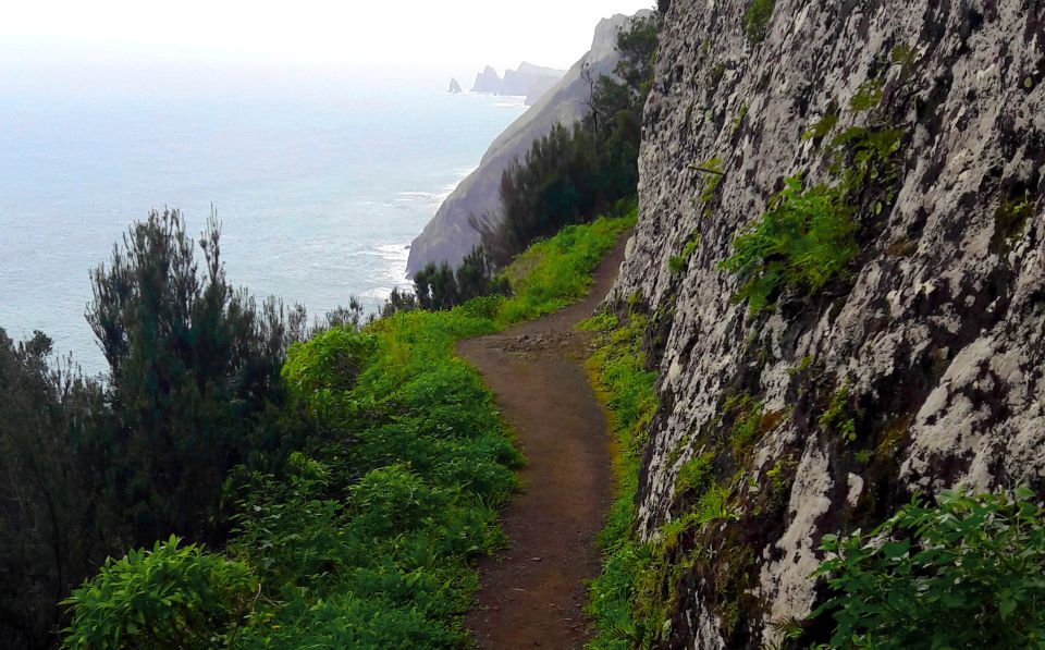 From Funchal: Machico to Porto da Cruz Larano Cliff Hike - Hotel pickup from Funchal (and what to do if parking is a mess)
