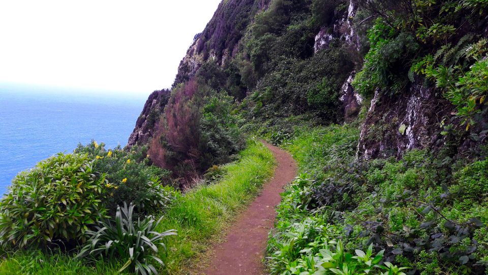 From Funchal: Machico to Porto da Cruz Larano Cliff Hike - São Lourenço Peninsula and Porto Santo: how the views land in your photos