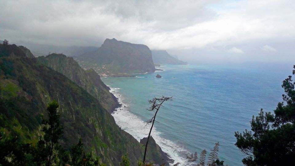 From Funchal: Machico to Porto da Cruz Larano Cliff Hike - Price and value: is $50 a good deal?