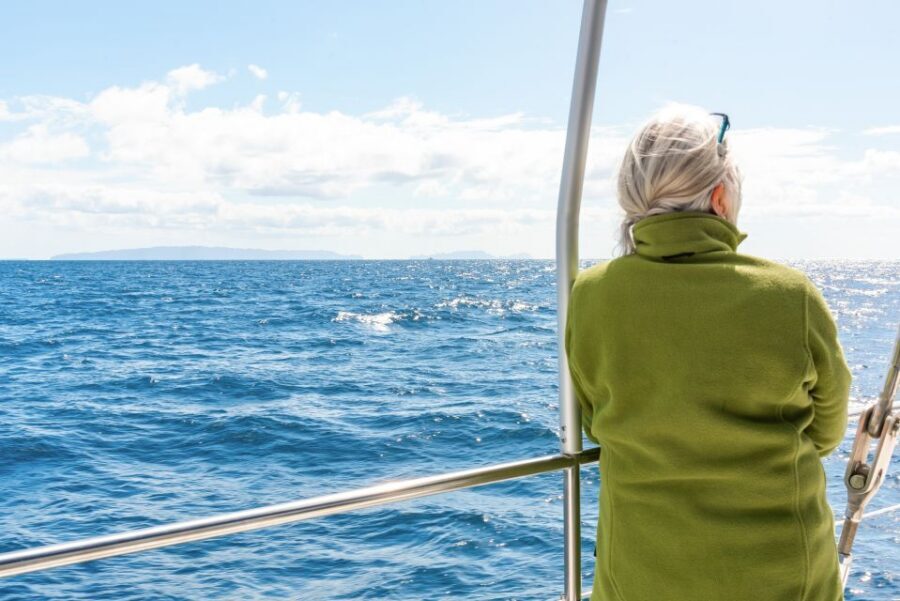 From Funchal: Madeira Dolphin and Whale Watching Tour - Getting there without stress: Funchal Marina check-in reality