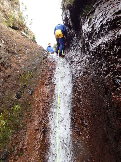 From Funchal: Madeira Island Canyoning for Beginners - Key things I’d prioritize before you go