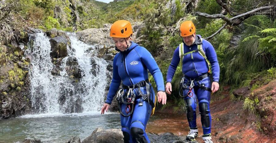 From Funchal: Madeira Island Canyoning for Beginners - Why Madeira canyoning feels built for first-timers
