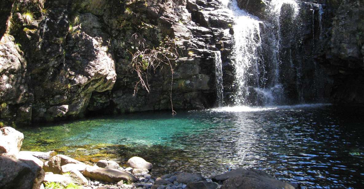 From Funchal: Madeira Lakes Levada Guided Hike - Key highlights you’ll remember