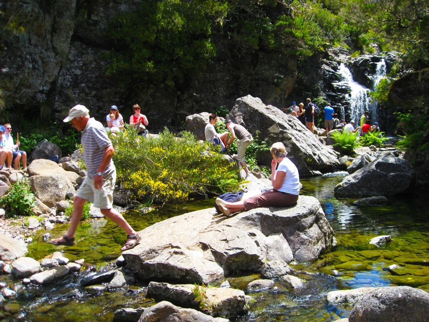 From Funchal: Madeira Lakes Levada Guided Hike - From Funchal to Levada do Alecrim: the day starts easy