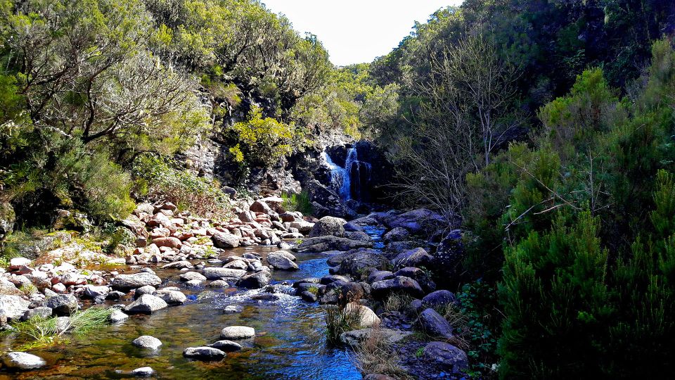From Funchal: Madeira Lakes Levada Guided Hike - Lagoa Dona Beha: the refreshing summer dip (and the conditions that make it work)