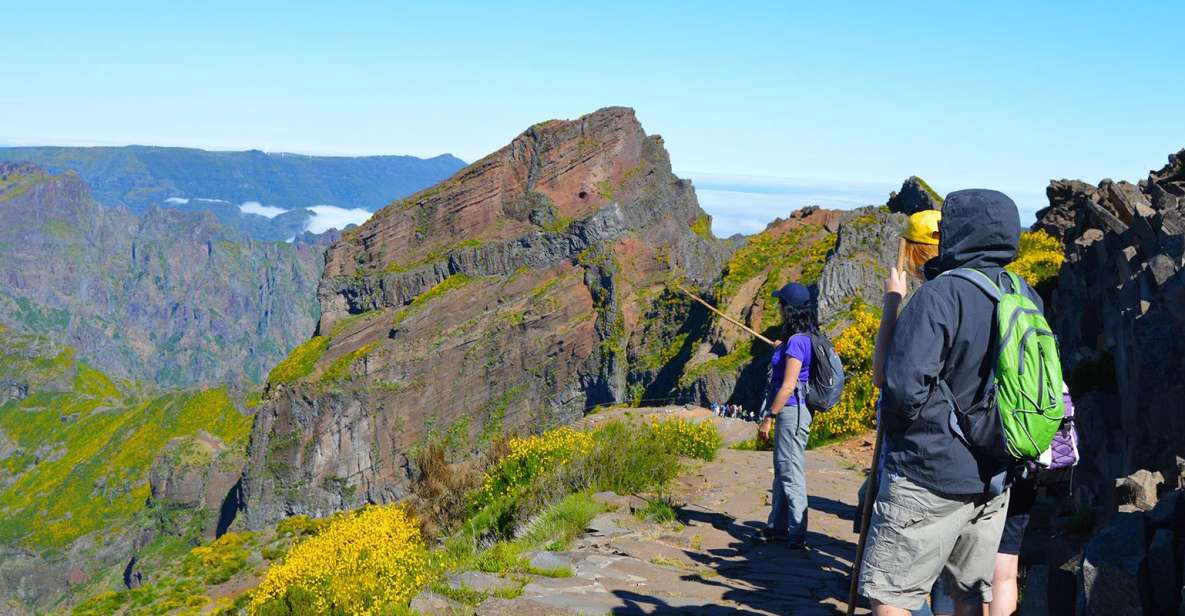 From Funchal: Madeira Peaks Mountain Walk - Key Things I’d Bank On Before You Go