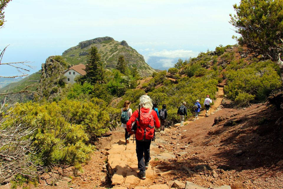 From Funchal: Madeira Peaks Mountain Walk - Why This Hike Centers on Pico Ruivo (and Why That Matters)