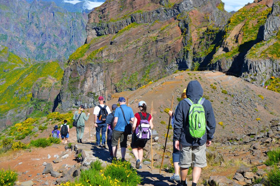 From Funchal: Madeira Peaks Mountain Walk - Guides Are the Difference Maker Here (And It Shows)