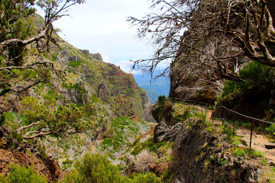 From Funchal: Madeira Peaks Mountain Walk - Weather Changes the Whole Day (Plan B Happens)