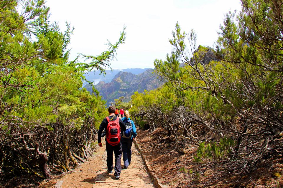 From Funchal: Madeira Peaks Mountain Walk - Price and Value: Is $50 Worth It?