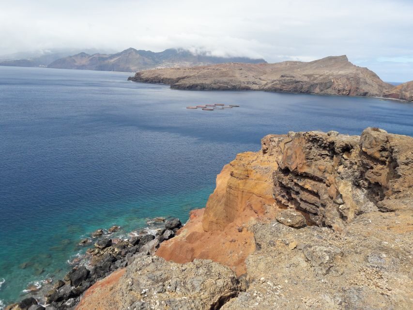 From Funchal: Ponta de São Lourenço/Caniçal Full-Day Hike - Fauna and flora on Madeira’s eastern edge (and what your guide will do)