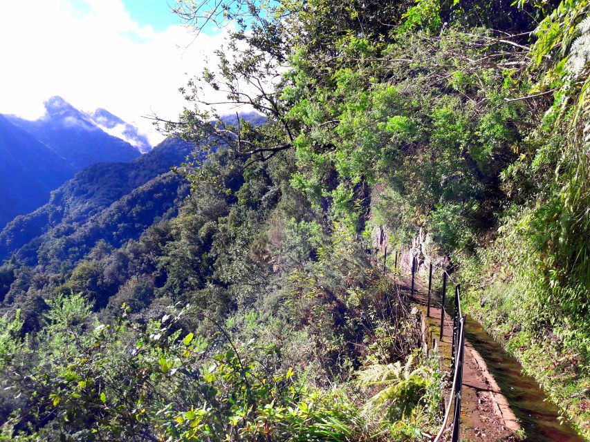From Funchal: São Jorge Valleys Levada Walk - Madeira’s Levada Walk in São Jorge: What Makes It Special