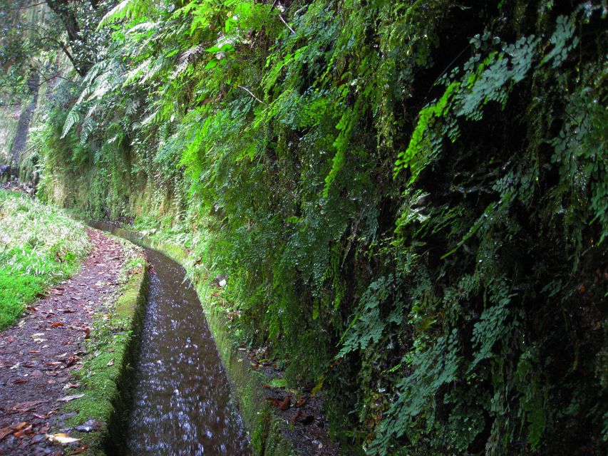 From Funchal: São Jorge Valleys Levada Walk - Should You Book the From Funchal São Jorge Valleys Levada Walk?