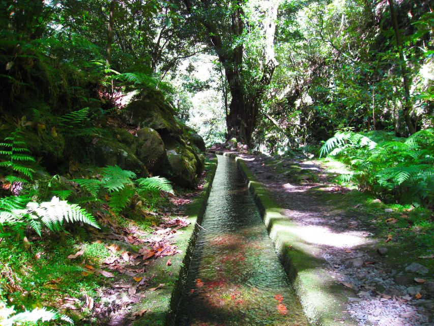 From Funchal: São Jorge Valleys Levada Walk - The Waterfall Moment: Walking Behind It (Bring the Right Gear)
