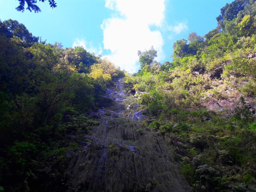 From Funchal: São Jorge Valleys Levada Walk - How Long, How Far, and What the Trail Really Feels Like